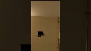 I Found A Hole To The Backrooms… Then Something Came Through