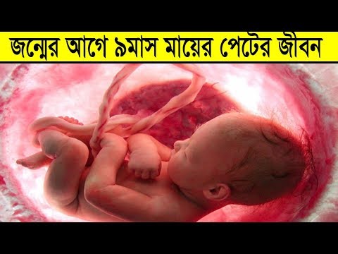 ভিডিও: দেরী এবং গর্ভাবস্থায় করণীয়