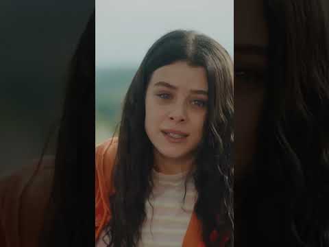 Sabit'in prensipleri #ateşkuşları