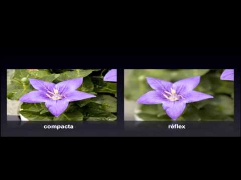 Curso de Fotografia Digital Nº5 Macrofotografia
