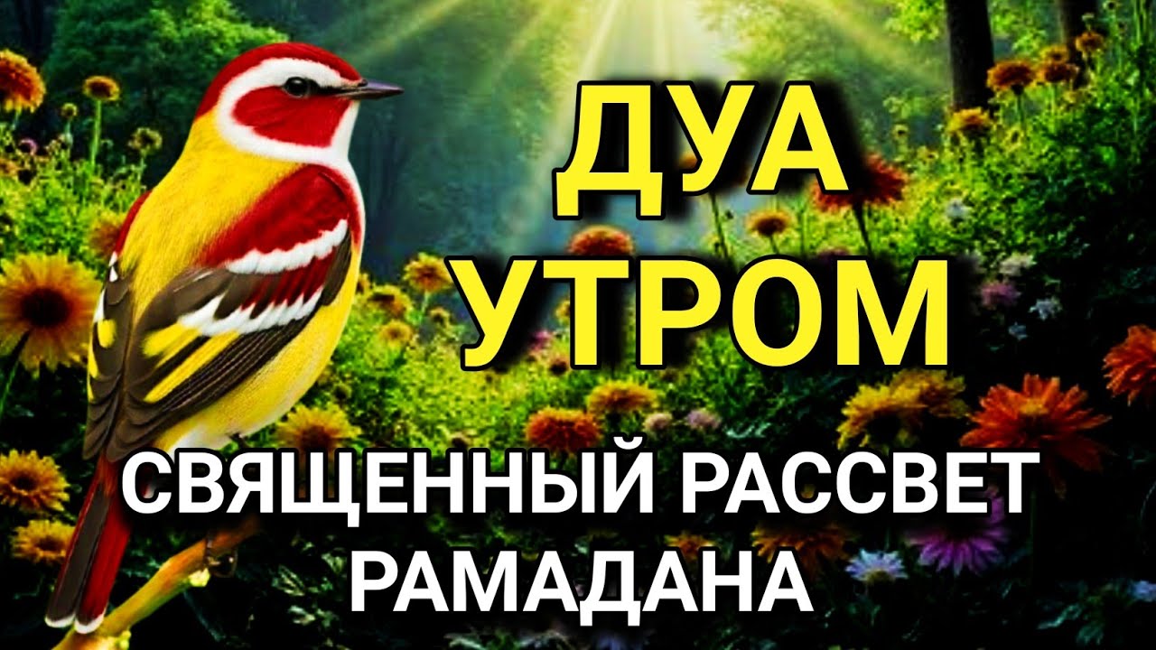 ✨🤲 СВЯЩЕННЫЙ РАССВЕТ МОМЕНТ ДЛЯДУА | РАМАДАН 2026 #дуа
