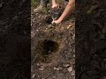 Dakota Fire Hole Rocket Stove🔥🪵