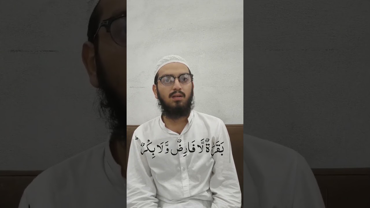 Surah Al-Baqarah Ayah 68 | Beautiful Quran Recitation | With Arabic Text | Qari Tahir