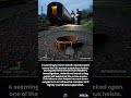 The Great Train Robbery’s Unusual Clue: A Stolen Canine Collar