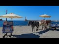 Chania old town horse ride. Crete is my love! Part 14.