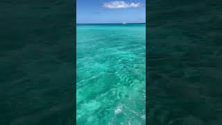 Piscina natural, isla saona RD.