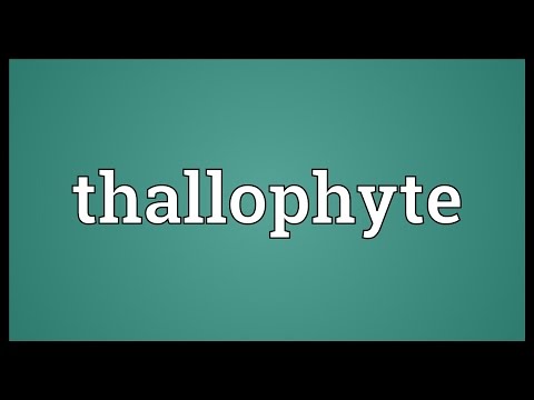 Header of thallophyte
