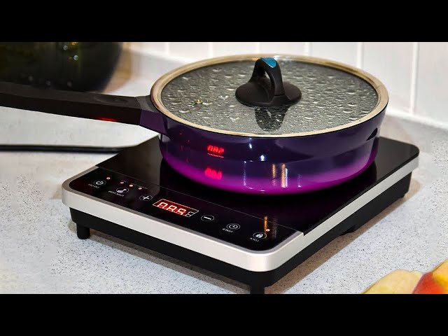 The Best Portable Burners: Induction, Gas, or Electric?