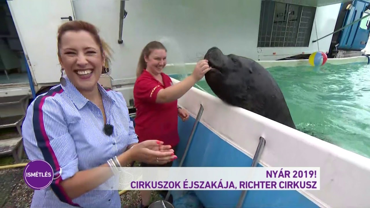 Nyár 2019! - Cirkuszolt a Nyár 2019!