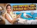 Виктория Боня впустила его в дом после трагедии с кошкой: кем оказался этот Вася?