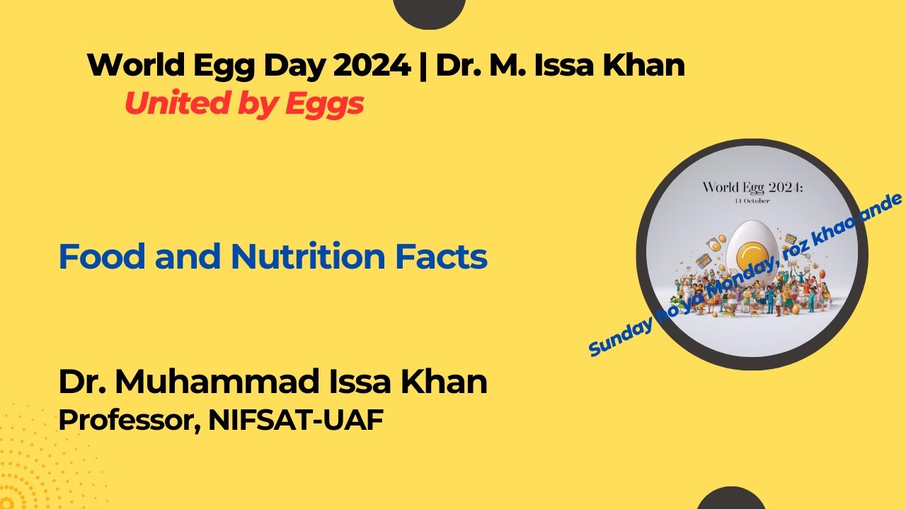World Egg Day 2024| Importance of Eggs