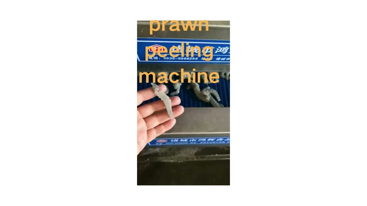 Automatic high effiency shrimp peeling machine in China