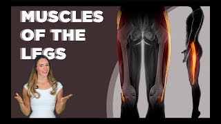 Muscles of the Legs