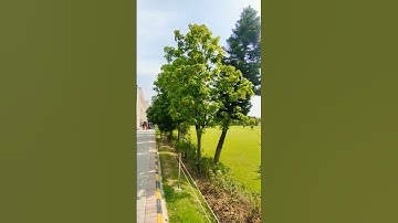 Numl university #numl #numluniversity #numlislamabad