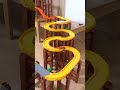 【CARS】Stunt Race ☆ カーズトミカのスタント爆発レース② #shorts #cars
