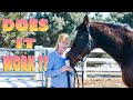 Sport Horse Essential Waterless Shampoo Review - Does It REALLY Work???