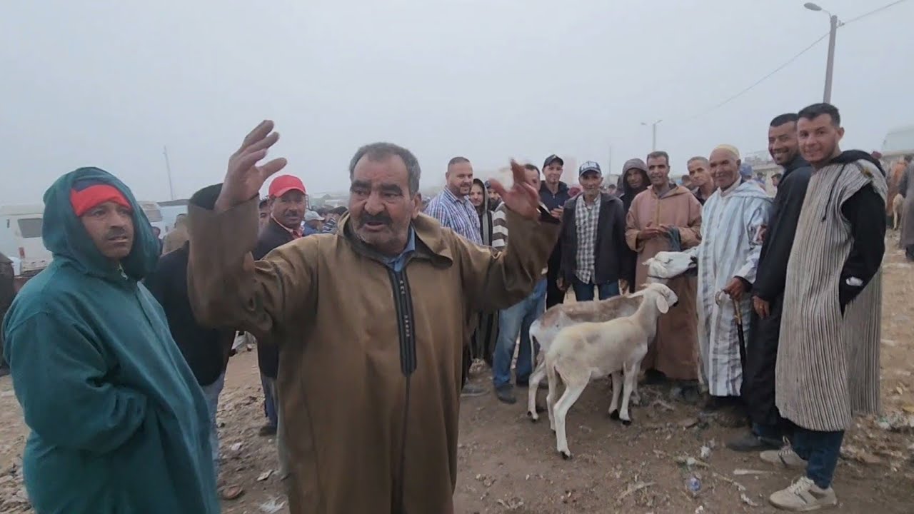 مباشرة من تلات لولاد25/6/2024