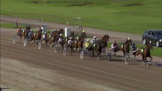 Vidéo de la course PMU PRIX TOO MUCH BLUE-DRAVIET STABLES