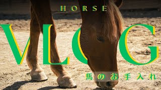 乗馬用品 ドライフィート 蹄ケア 【公式通販】