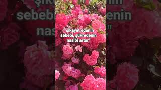 “ şikayet edenin sebebi, şükredenin nasibi artar." #gazzeyiunutma #filistin