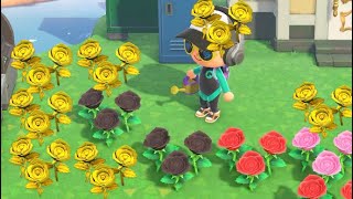 The Golden Rose - Animal Crossing: New Horizons