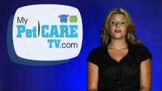 dailypetnews 20100817