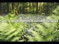 Comment faire de belles photos de nature