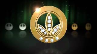 HERBALIFE NEW PINS 2012 !