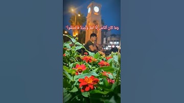 القارئ عبد الرحمن مسعد وما كان الناس الا امه واحده فاختلفوا حاله وتساب قران ديني