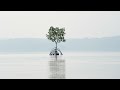 Lake Reflection | Relax Music Vol. 0109 | 4K