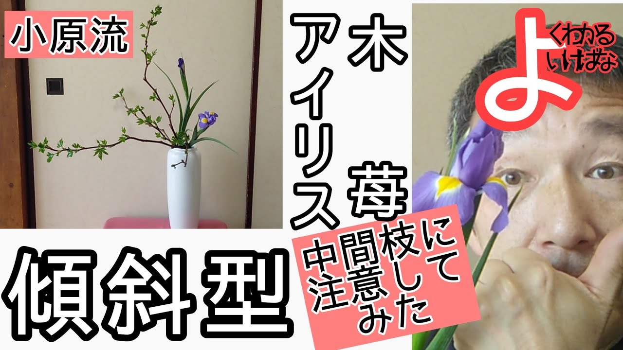 【よくわかる生け花】いけばな小原流 瓶花 傾斜型　木苺　アイリス　の自宅稽古動画です。 おうち生け花のヒントになれば幸いです。始めよういけばな　レッスン！