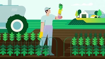 Trianum (Trichoderma harzianum) - How does it work?