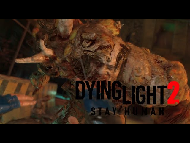 さっくり進めるDying Light 2：17