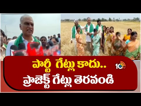 Harish Rao Visit Crop Damage Farmers | రైతుల ఆత్మహత్యల పాపం కాంగ్రెస్‎దే | 10TV News - 10TVNEWSTELUGU