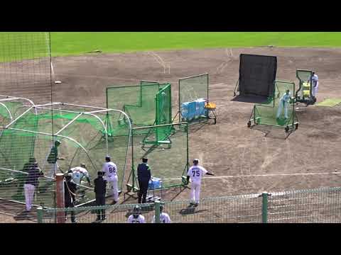 ヤクルト#17清水投手打撃投手に挑戦＠沖縄キャンプ 20 02 03