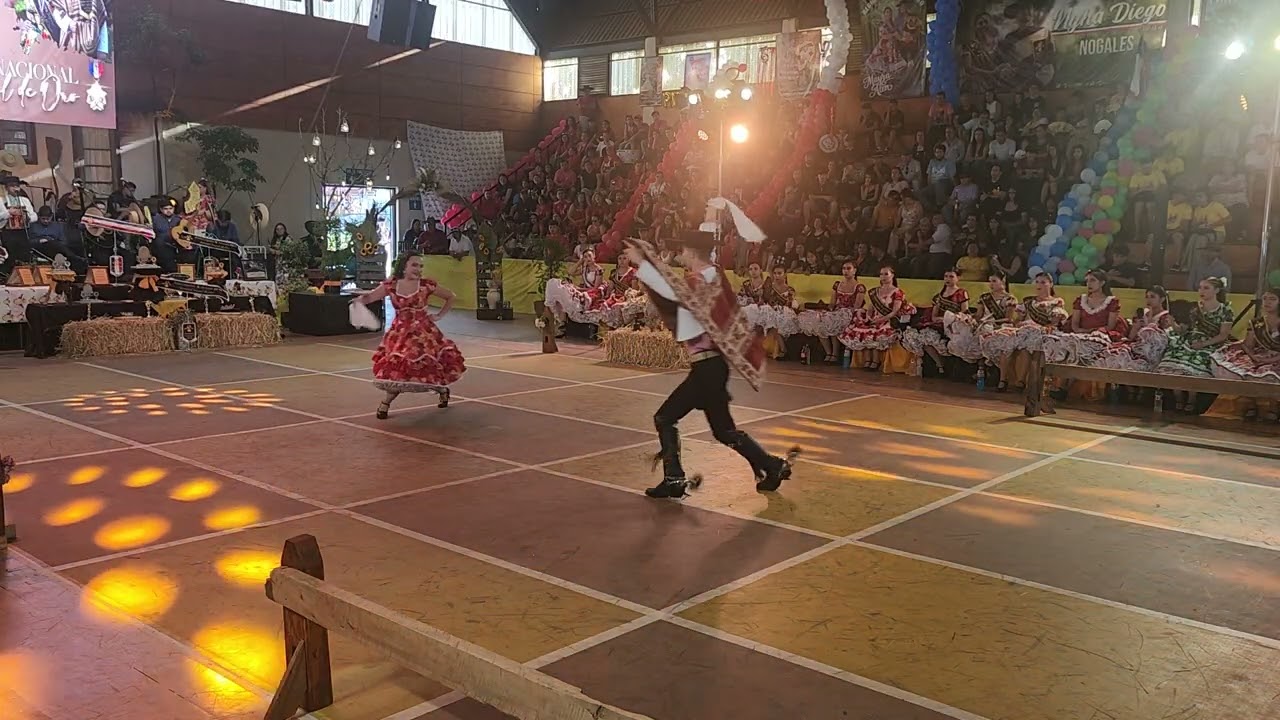 Vice Campeones Nacionales Nogal de Oro 2026 Linares