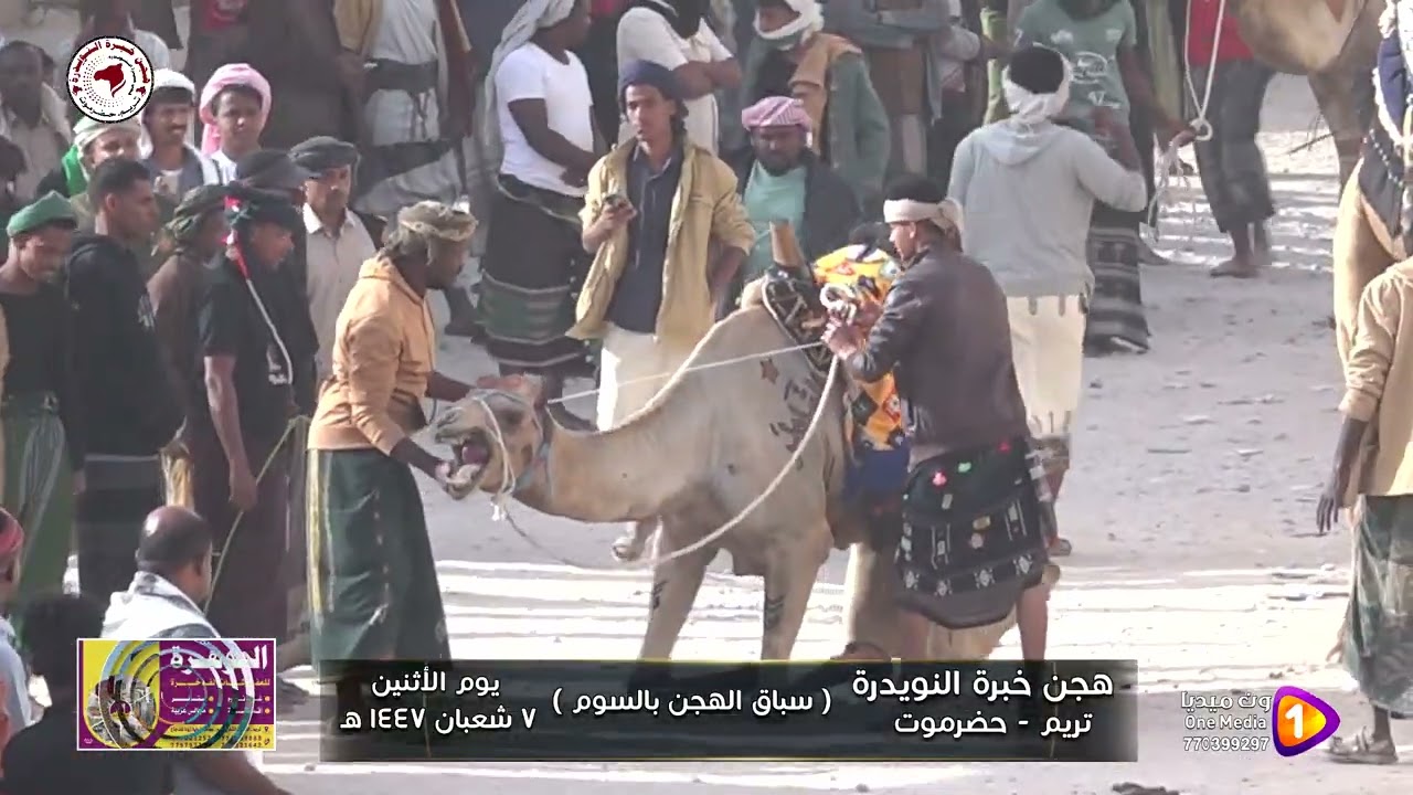 هجن خبرة النويدرة 1447 ه سباق السوم