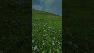 Play video: beautiful nepal