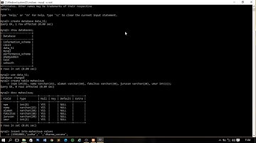 Praktikum Basis Data Teknik Informatika Semester 2