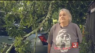 Hixson family of 7 left without a home after tree slams through roof