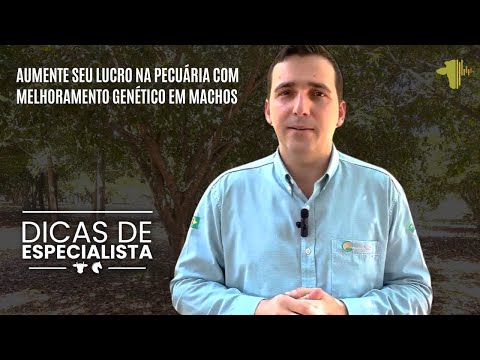 AUMENTE SEU LUCRO NA PECUÁRIA COM MELHORAMENTO GENÉTICO EM MACHOS | DICAS DE ESPECIALISTA