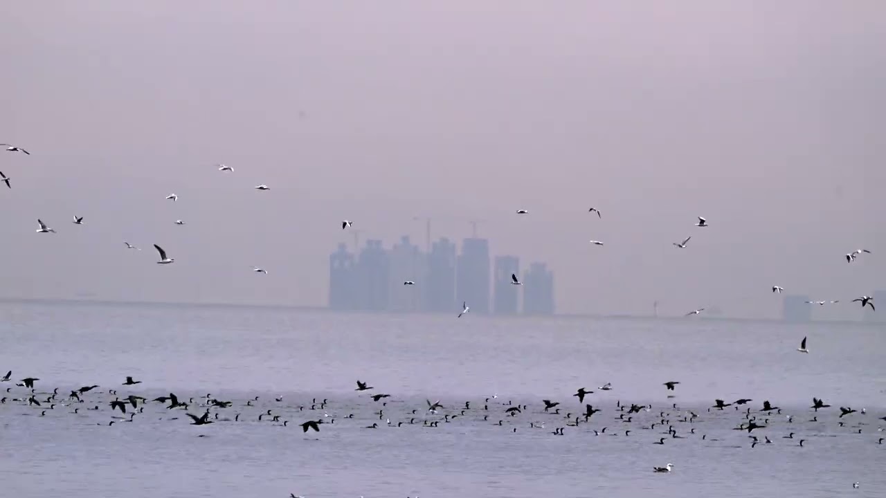 أماكن رائعة في مدينة الخبر  Wonderful places in the city of Khobar