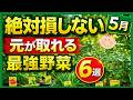 とりあえず植えておけ!絶対損しない最強野菜6選♪初心者・プランターOK〜5月に植える野菜〜