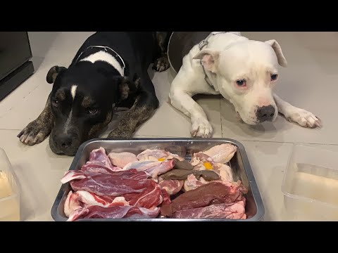 Video: Hranjenje Psov S Sladkorno Boleznijo - Nutrition Nuggets Dog