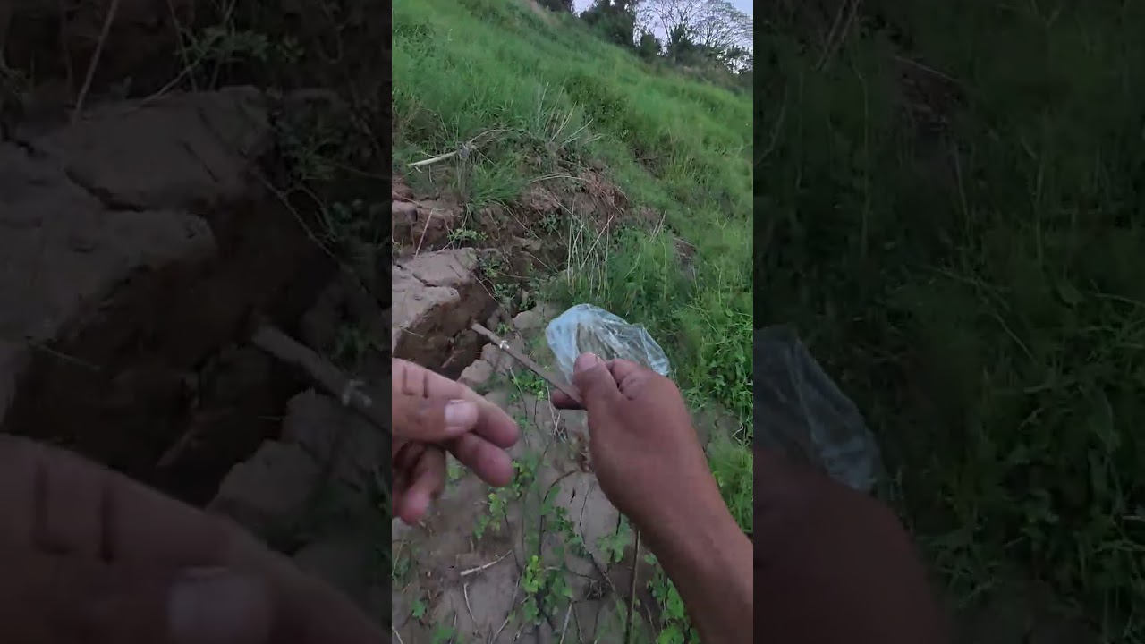 วิถีชีวิตริมฝั่งโขงเหยื่อสูตรเด็ดแม่เป้ง