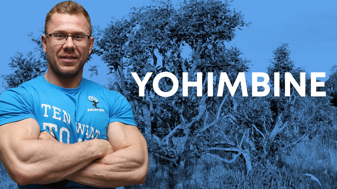 Spalacz tłuszczu  johimbina (yohimbine) – opinia –Paweł Lisowski