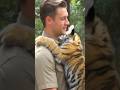 #moralstories #love #viral #s25ultra ##tigertales #youtubeshorts #youtube #subscribers #like #share