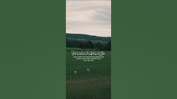 قران كريم | #قرآن #قران_كريم #راحة_نفسية #quran #تلاوة_خاشعة #تلاوات #تلاوة_هادئة #اذكار #رقية_شرعية
