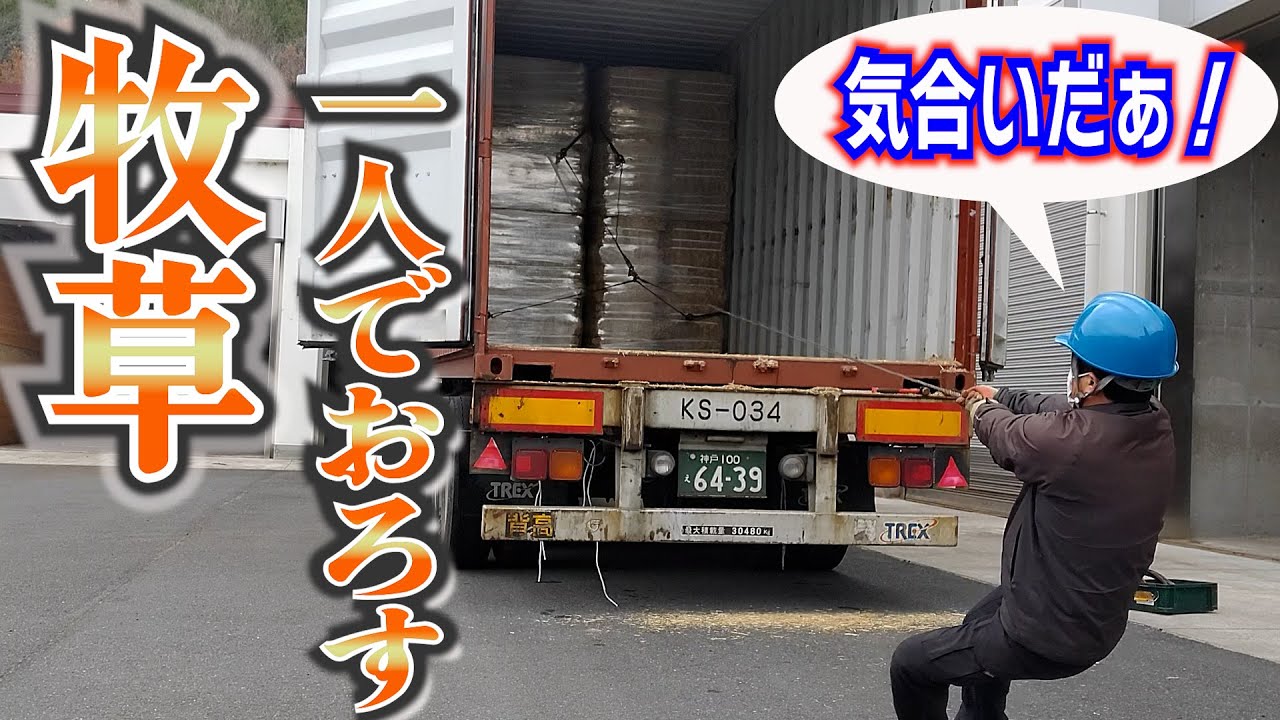 40フィート海上コンテナの輸入牧草の荷下ろし作業を全部一人でやります。