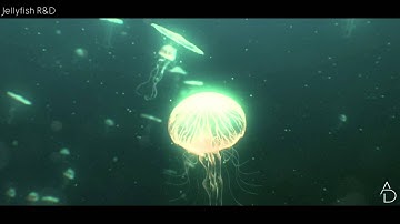 R&D: Jellyfish